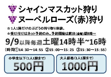 9月23日ぶどう狩り　①14時30分～14時55分迄の画像