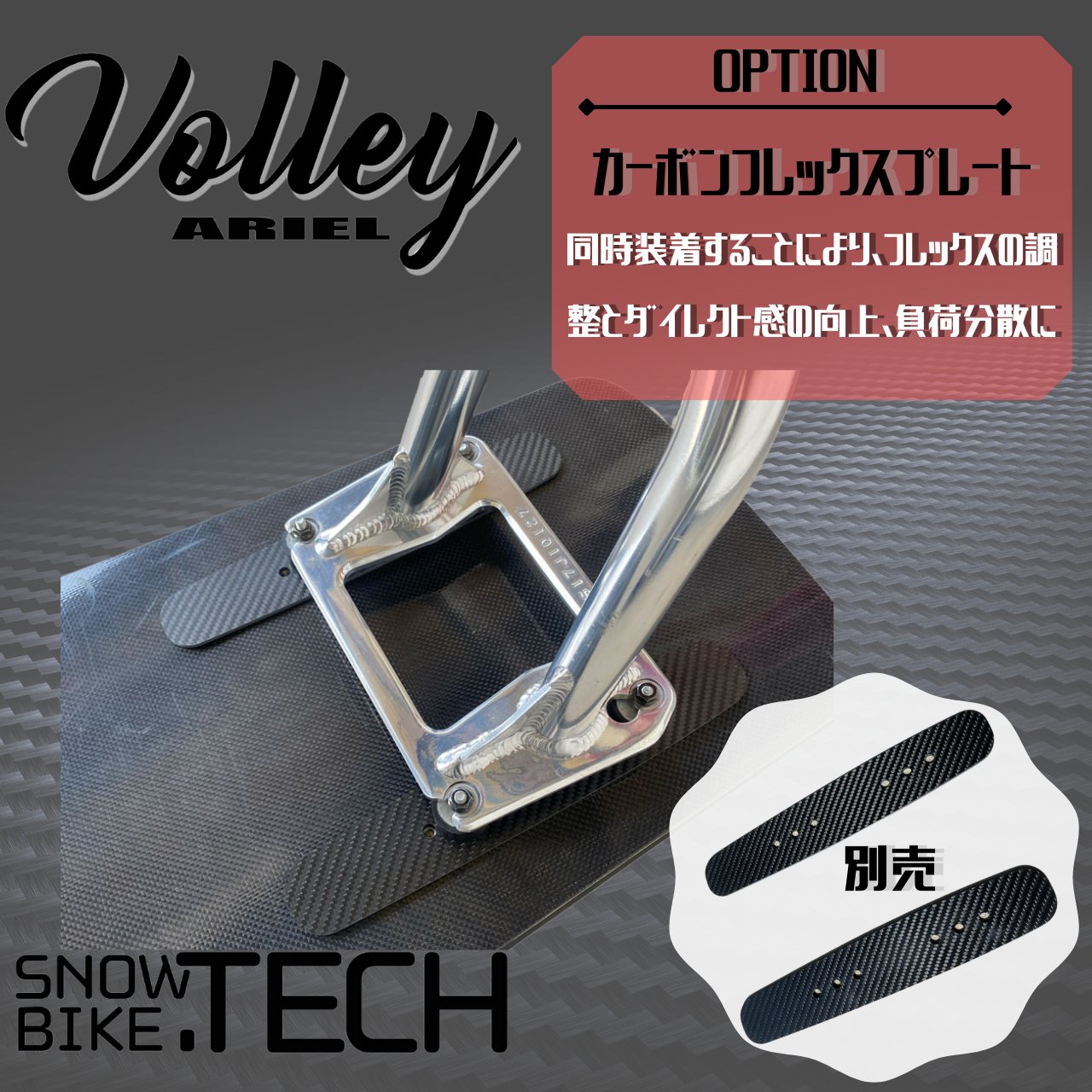 Volley ヴォレー SNOWBIKE.TECH カービングボード画像