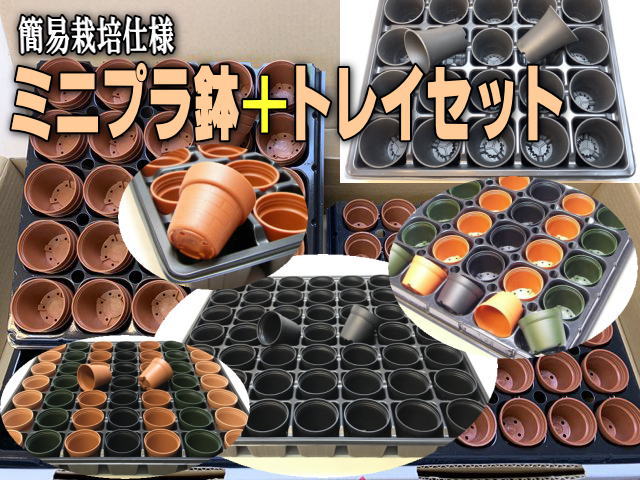 簡易栽培仕様「ミニプラ鉢＋トレイ」セット販売はここ！