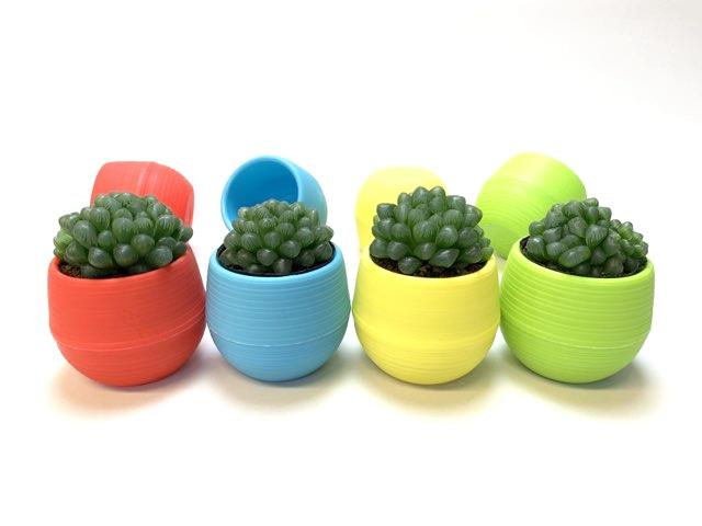 カラフルボール型プラ鉢-2号-緑画像