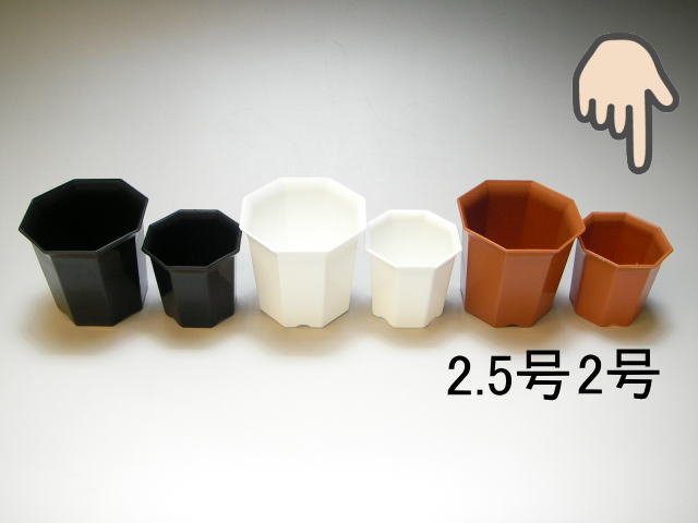 八角縁広プラ鉢(シャトル鉢)-2号小-茶＊八角鉢の画像