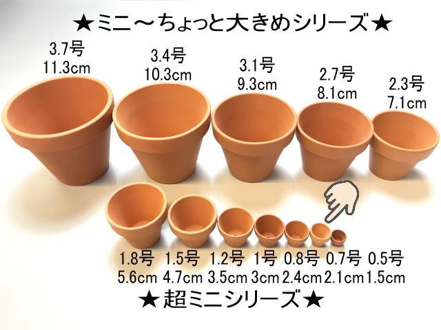 超ミニミニ豆テラコッタ鉢-0.7号鉢(外径φ2.1×高さ2cm/★小さい方から...No.2)※素焼調画像