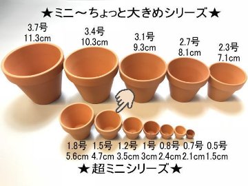 テラコッタ鉢-1.5号/超ミニ(中)(外径φ4.7×高さ4cm/★小さい方から...No.6)画像