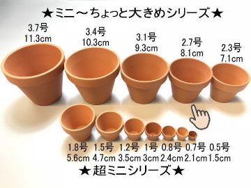 テラコッタ鉢-2.7号/テラミニ大-小(外径φ8.1×高さ6.6cm/★小さい方から...No.9)画像