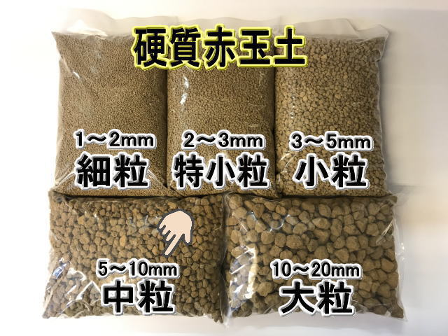 小袋 赤玉土 中粒 硬質 1ｌ入 約5 10mm