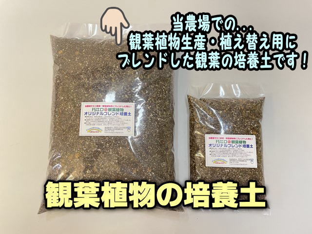 FS江口＠観葉植物の培養土-5リットル入[無地袋]の画像