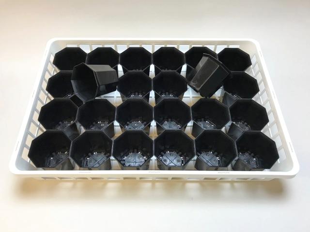 生産者仕様の園芸トレイ：白 (大)＋八角縁広プラ鉢-2.5号-黒(トレイ1枚＋24鉢付きで1セット)[254GB]の画像