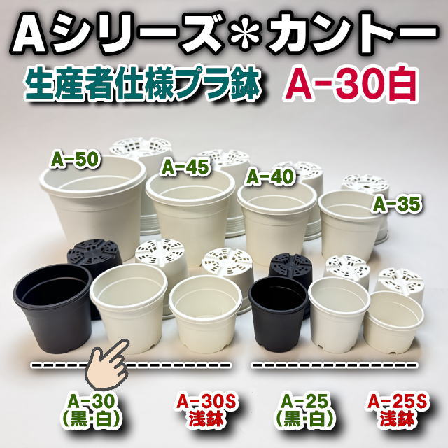 生産者仕様[カントー]プラ鉢A-30-(2.5号相当)-白※黒インク状の付着が有ったりします[254GW]の画像