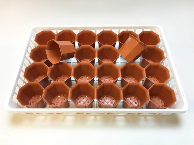 生産者仕様の園芸トレイ：白 (大)＋八角縁広プラ鉢-2.5号-茶(トレイ1枚＋24鉢付きで1セット)の画像