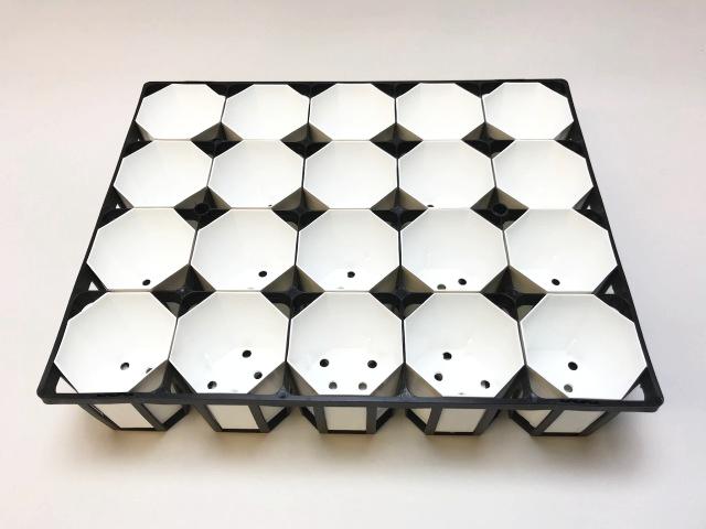 7.5cmポットや2号鉢用四角型枠トレイ：ハーフ[標準型H6.4cm]-20鉢用＋八角縁切立白プラ鉢-2号-ミニ(トレイ1枚＋20鉢付きで1セット)[W][254GW]の画像
