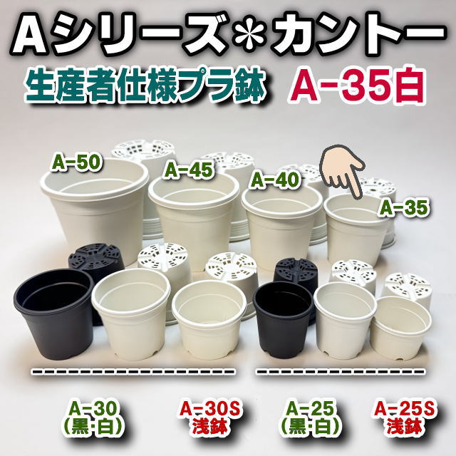 生産者仕様[カントー]プラ鉢A-35-(3号相当)-白※黒インク状の付着が有ったりします[254GW]の画像