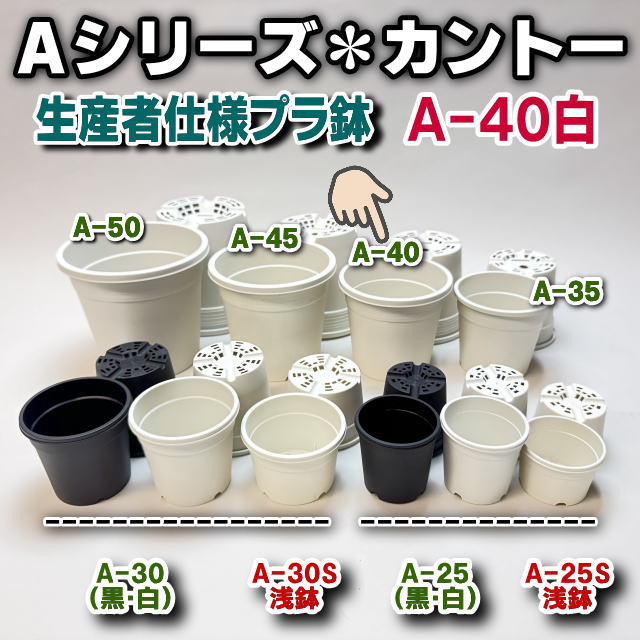 生産者仕様[カントー]プラ鉢A-40-(3.5号相当)-白※黒インク状の付着が有ったりします[254GW]の画像