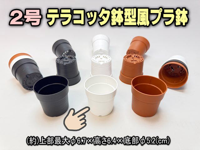 テラコッタ鉢型風プラ鉢-2号-白＠フラワーショップ江口＠多肉植物