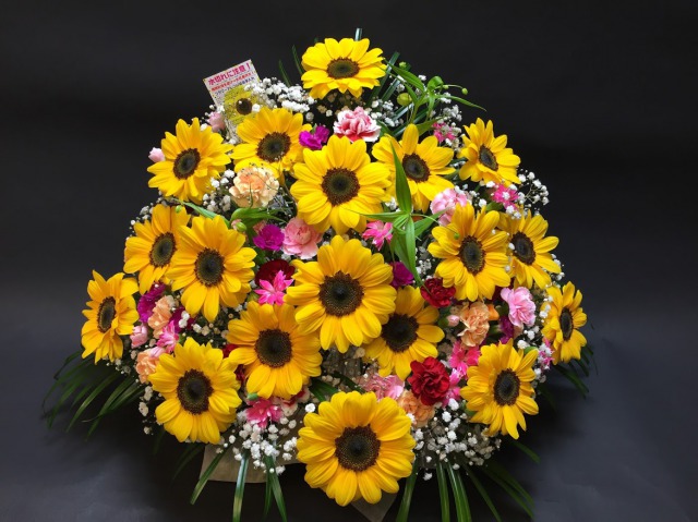 ひまわり18本＋季節のアソート花入 フラワーアレンジメント-大(生花140規格)の画像