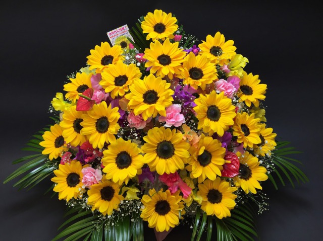 ひまわり23本＋季節のアソート花入 フラワーアレンジメント-特大(生花160規格)の画像