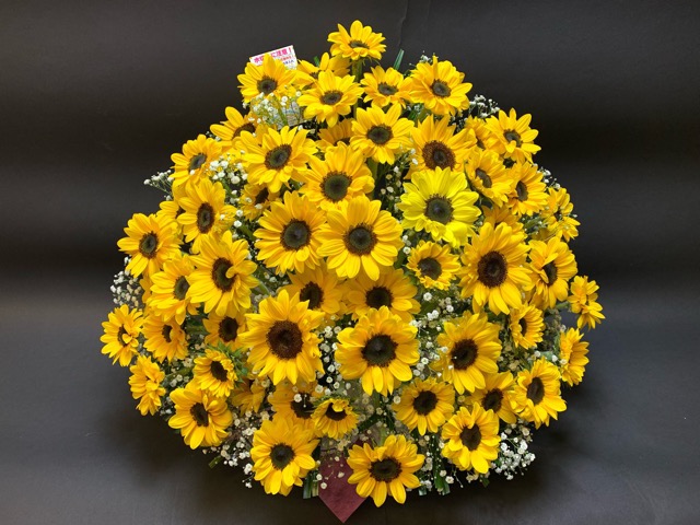 ひまわり60本＋かすみ草入 フラワーアレンジメント-特大(生花160規格)の画像