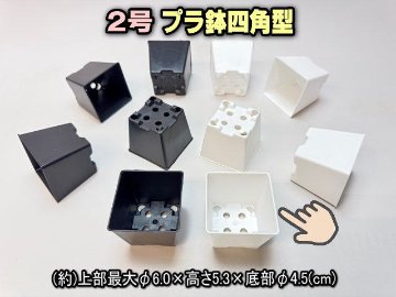 2号プラ鉢四角型-白色-ミニサイズ[w]の画像