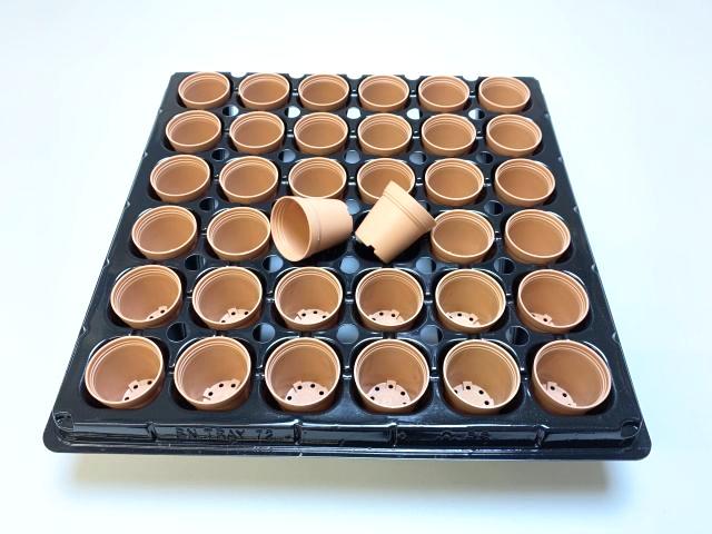 1号プラ鉢ぴったり整理トレイ-厚(ハード)＋1号プラ鉢-パステル茶-超ミニサイズ(トレイ1枚＋36鉢付きで1セット)の画像