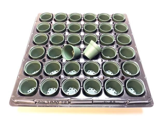 1号プラ鉢ぴったり整理トレイ-厚(ハード)＋1号プラ鉢-緑-超ミニサイズ(トレイ1枚＋36鉢付きで1セット)の画像