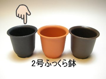 厚手のプラ鉢-ふっくら2号ミニ【黒】[*]画像