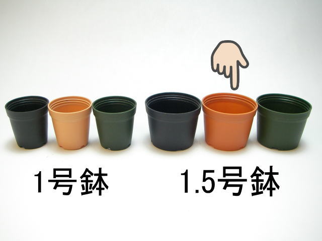 1.5号プラ鉢ぴったり整理トレイ-厚(ハード)＋1.5号プラ鉢-茶(トレイ1枚＋25鉢付きで1セット)画像