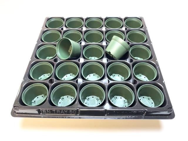 1.5号プラ鉢ぴったり整理トレイ-厚(ハード)＋1.5号プラ鉢-緑(トレイ1枚＋25鉢付きで1セット)の画像