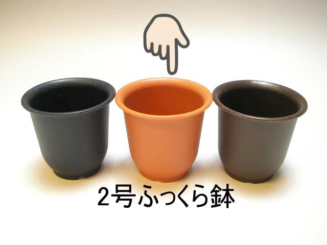 厚手のプラ鉢-ふっくら2号ミニ【茶】画像