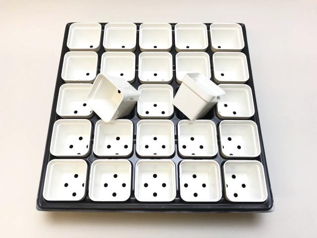 1.7号プラ鉢ぴったり整理トレイ-薄(ソフト)＋1.7号四角プラ鉢-白(トレイ1枚＋25鉢付きで1セット)[w]の画像