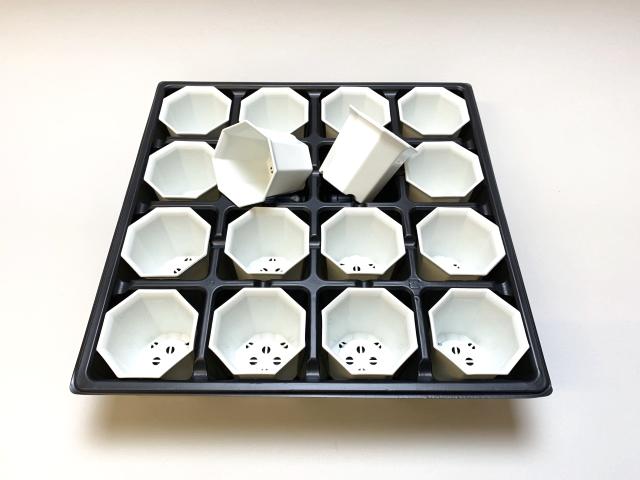 2号プラ鉢ぴったり整理トレイ-薄(ソフト)＋八角縁広プラ鉢-2号小-白(トレイ1枚＋16鉢付きで1セット)[w]の画像