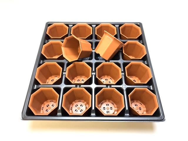 2号プラ鉢ぴったり整理トレイ-薄(ソフト)＋八角縁広プラ鉢-2号小-茶(トレイ1枚＋16鉢付きで1セット)の画像