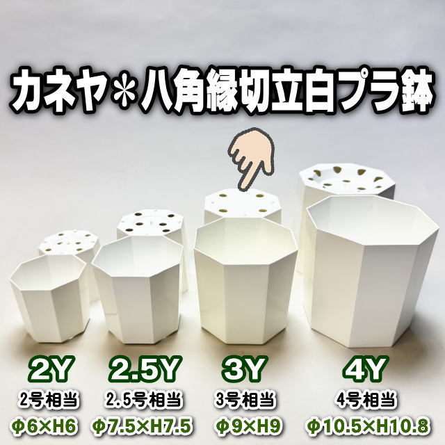 八角縁切立白プラ鉢-3号-中(3Y)[254GW]の画像