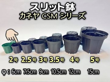 スリット鉢】Ｓポット丸型60白20個 2号6cm プレステラ多肉植物プラ鉢の公式商品情報｜植木鉢情報