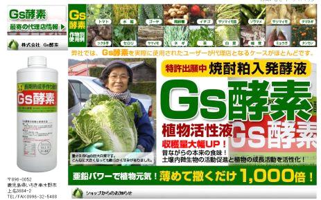 Gs酵素-10Ｌ(焼酎粕入発酵液/植物活性液)＠特殊肥料＊家庭菜園-生産者＊オーガニック･有機JAS認定規格適合資材※W23.5×D23.5×H24.5cmの画像
