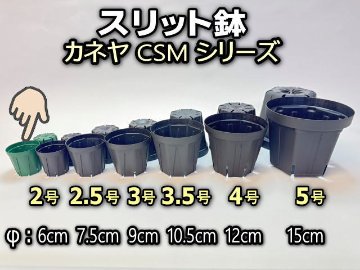 スリット鉢-2号緑(CSM-60)グリーン＠多肉植物・塊根植物コーデックス・アガベ・サボテン・盆栽・観葉・実生・バラ鉢・果樹鉢の画像