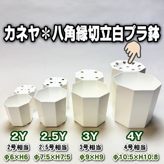八角縁切立白プラ鉢-4号-大(4Y)[254GW]の画像