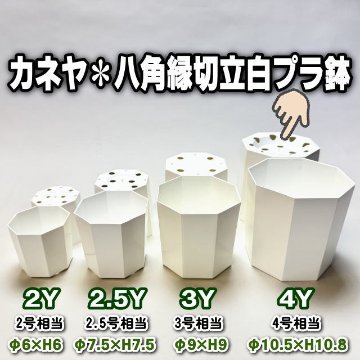 八角縁切立白プラ鉢-4号-大(4Y)[254GW]の画像