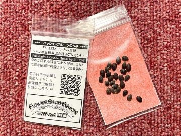 【緑】紫果皮-サマークイーン系-パッションフルーツ苗(自家結実性)生産育成直売画像