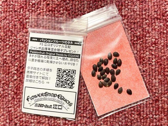 【黒】赤紫果皮-大実-パッションフルーツ苗：(自家結実性)画像