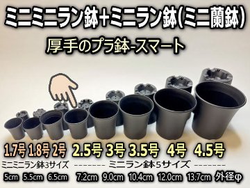 ミニラン鉢・ミニ蘭鉢2.5号[黒]＊厚手のプラ鉢-スマート鉢＊多肉植物・塊根植物コーデックス・アガベ・盆栽・バラ鉢・果樹鉢＠フラワーショップ江口