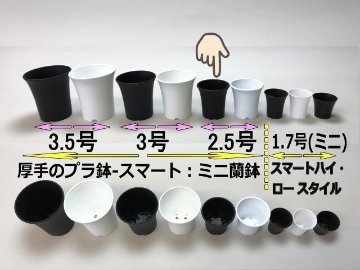 厚手のプラ鉢-スマート2.5号[黒]/ミニ蘭鉢・ミニラン鉢[*][254GB]画像