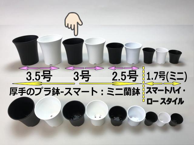 厚手のプラ鉢-スマート3号[黒]/ミニ蘭鉢・ミニラン鉢[254GB]画像