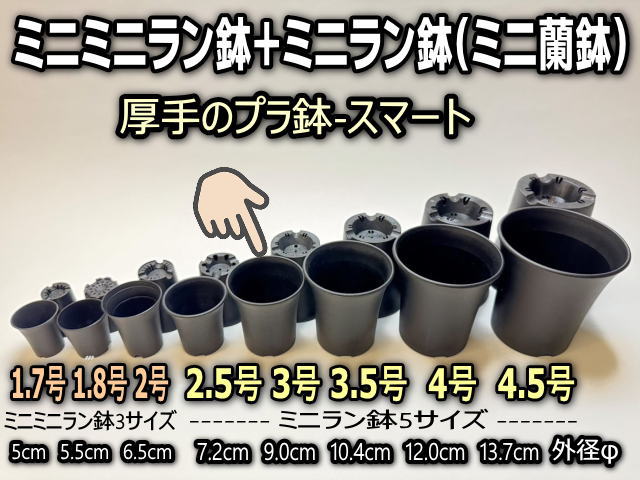 ミニラン鉢・ミニ蘭鉢3号[黒]＊厚手のプラ鉢-スマート鉢＊多肉植物