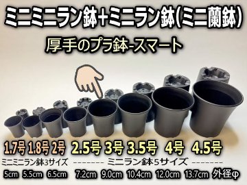 ミニラン鉢・ミニ蘭鉢3号[黒]＊厚手のプラ鉢-スマート鉢＊多肉植物・塊根植物コーデックス・アガベ・サボテン・観葉・ハオルチア・アデニウム・パキポディウム[254GB]の画像