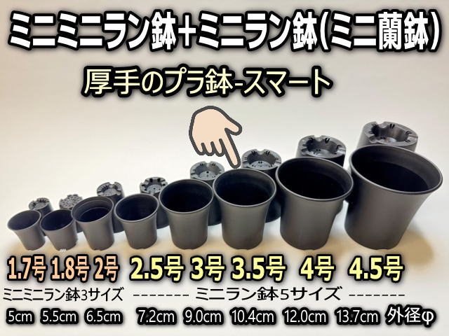 ミニラン鉢・ミニ蘭鉢3.5号[黒]＊厚手のプラ鉢-スマート鉢＠多肉植物・塊根植物コーデックス・アガベ・盆栽・バラ鉢・果樹鉢[254GB]の画像