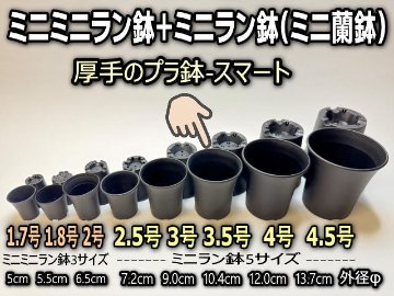 ミニラン鉢・ミニ蘭鉢3.5号[黒]＊厚手のプラ鉢-スマート鉢＊多肉植物・塊根植物コーデックス・アガベ・盆栽・バラ鉢・果樹鉢＠フラワーショップ江口