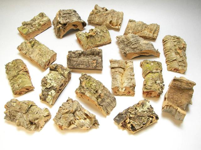 コルク樹皮片-高品質【2～3辺計15cm程度の不定形】※四角～三角の画像