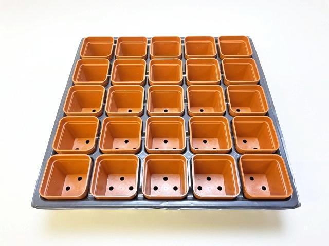 1.7号プラ鉢ぴったり整理トレイ-薄(ソフト)＋1.7号四角プラ鉢-茶(トレイ1枚＋25鉢付きで1セット)の画像