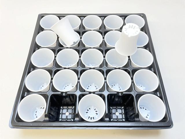 1.7号プラ鉢ぴったり整理トレイ-薄(ソフト)＋スマートハイスタイル1.7号ミニミニラン鉢-白(トレイ1枚＋25鉢付きで1セット)[w]の画像