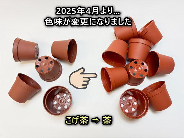 2号プラ鉢ぴったり整理トレイ-厚(ハード)＋2号プラ鉢どっしり型-ミニサイズ【2025年4月より色味変更：こげ茶⇒茶】(トレイ1枚＋16鉢付きで1セット)[*]の画像