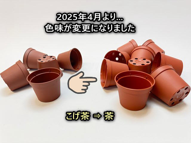 2号プラ鉢ぴったり整理トレイ-厚(ハード)＋2号プラ鉢どっしり型-ミニサイズ【2025年4月より色味変更：こげ茶⇒茶】(トレイ1枚＋16鉢付きで1セット)[*]の画像